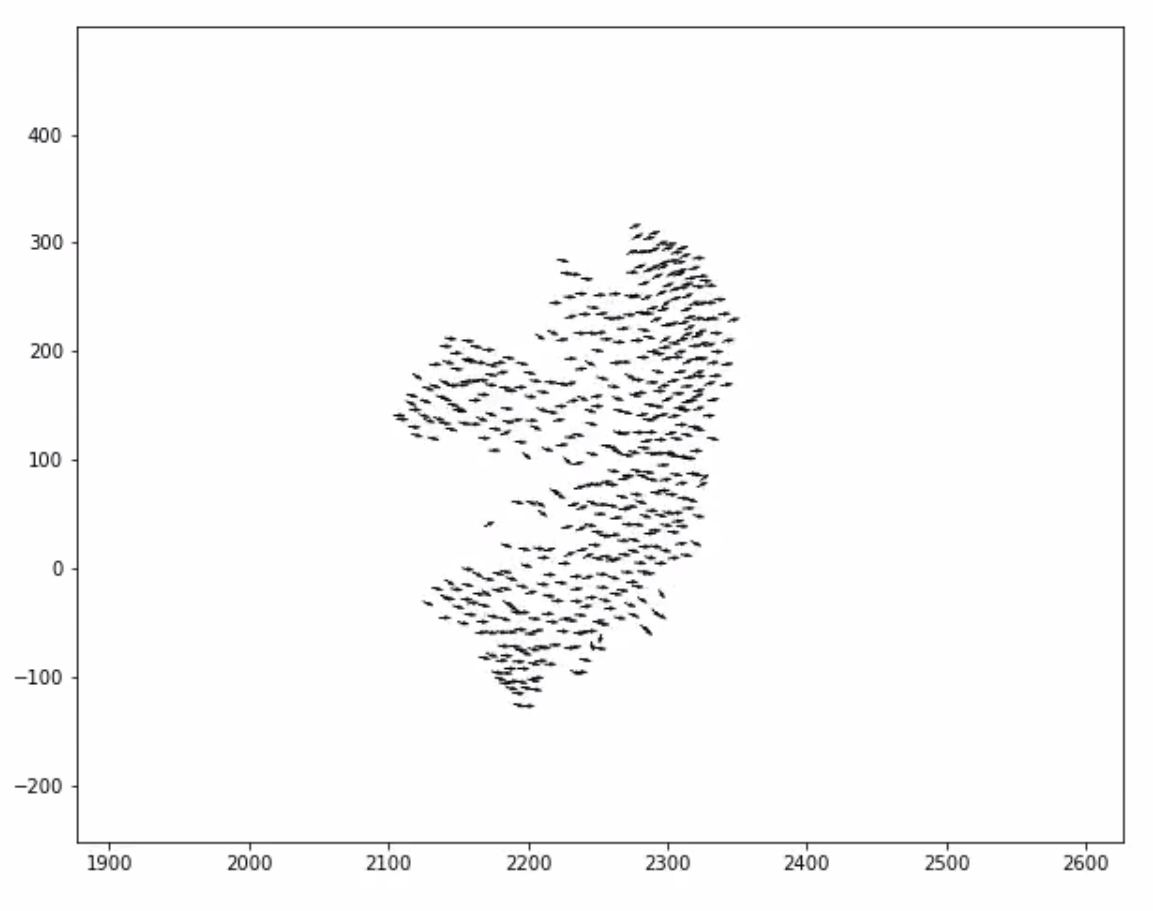 500 Boids in Flight (Credit: Henry Charlesworth)